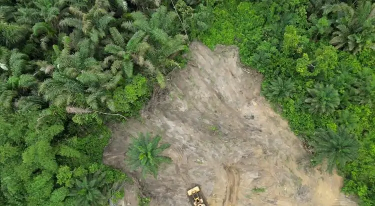 elerangbe land picture